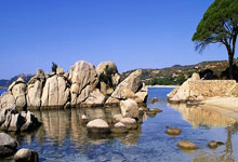 嗨，今天来聊聊天涯创业三大神贴，这些帖子当年在论坛里可是神级存在，充满了热血과泪花！它们让我想起那些疯狂的创业梦。